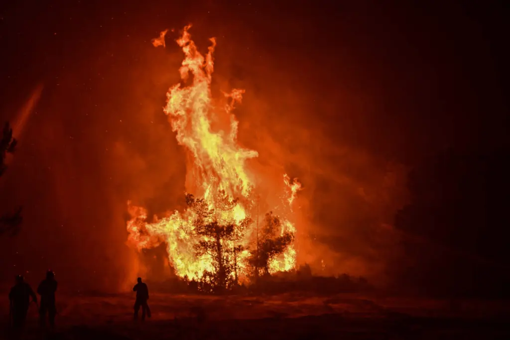 Ωρωπός: Σε ύφεση τα πύρινα μέτωπα- Μάχη με αναζωπυρώσεις 6 image 11