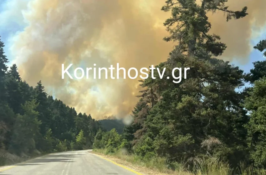  Ανεξέλεγκτη η  φωτιά στον Φενεό Κορινθίας – Απανωτά μηνύματα του 112 (vid)