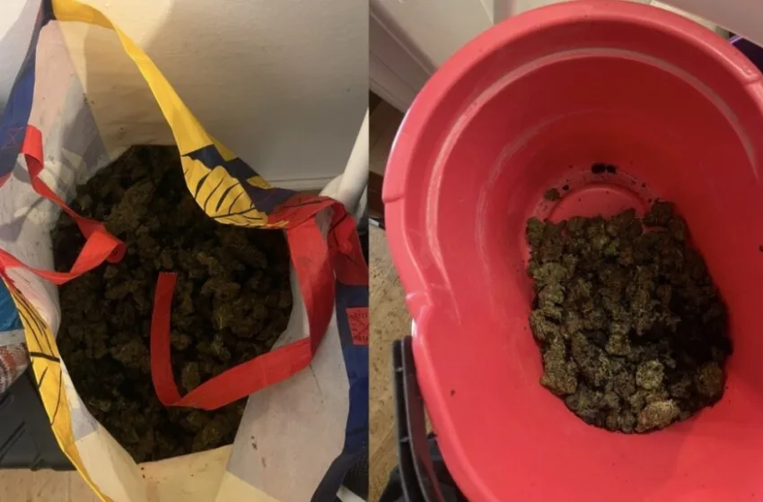  Κυψέλη: Σπίτι ”φυτώριο”-Δύο συλλήψεις για 7 κιλά κάνναβης