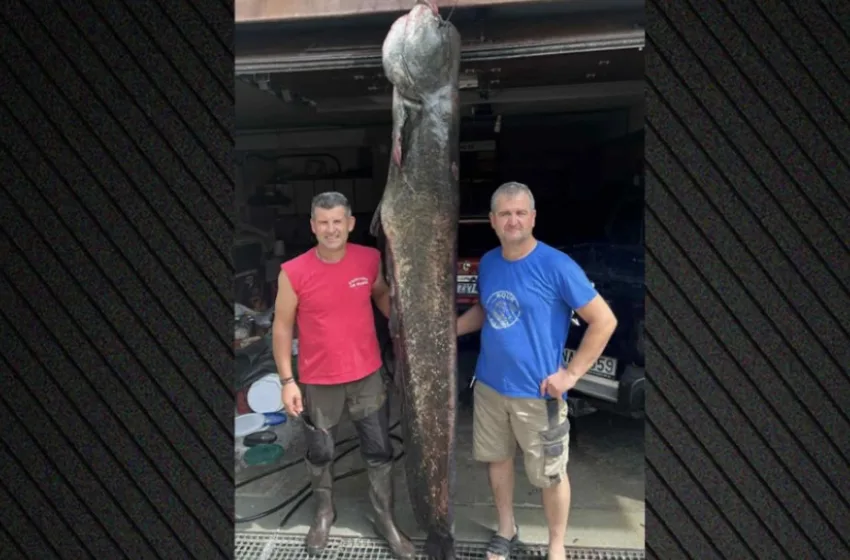  Κοζάνη: Ψαράδες έπιασαν γουλιανό 100 κιλών στη λίμνη Πολυφύτου (εικόνες)