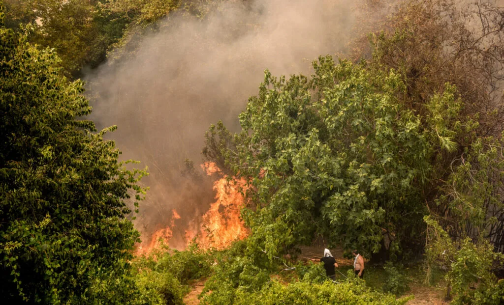 EUROKINNISI Φωτιά σε δάσος