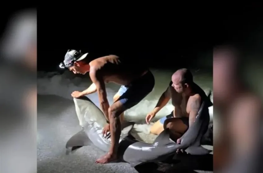  Φλόριντα: Τρόμος για ψαρά που ήθελε να βγάλει selfie με καρχαρία-Βίντεο σοκ