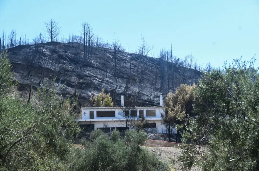  Φωτιές: Ρεκόρ 20ετίας οι καμένες εκτάσεις-Τα στοιχεία της WWF