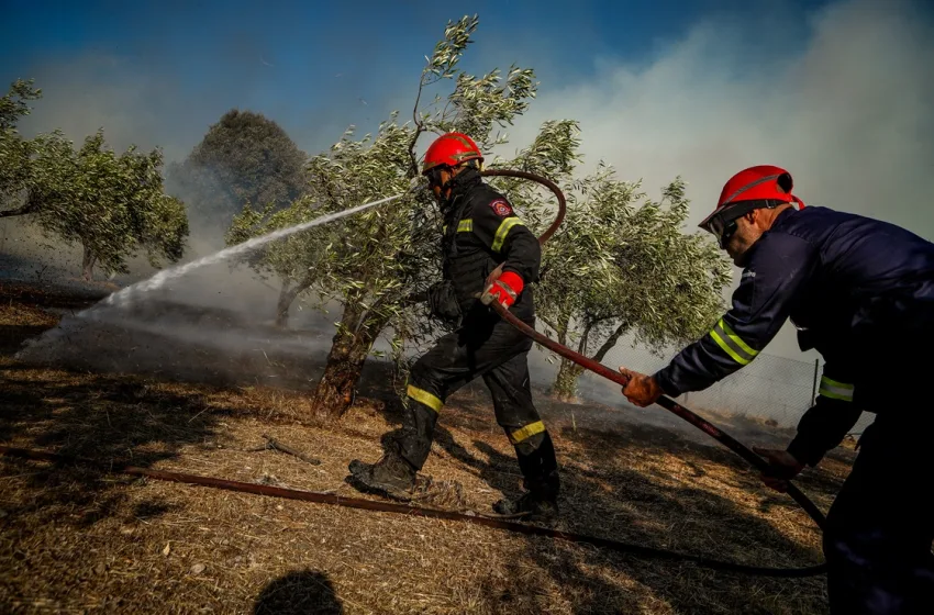  Οριοθετήθηκε η φωτιά στον Χορτιάτη
