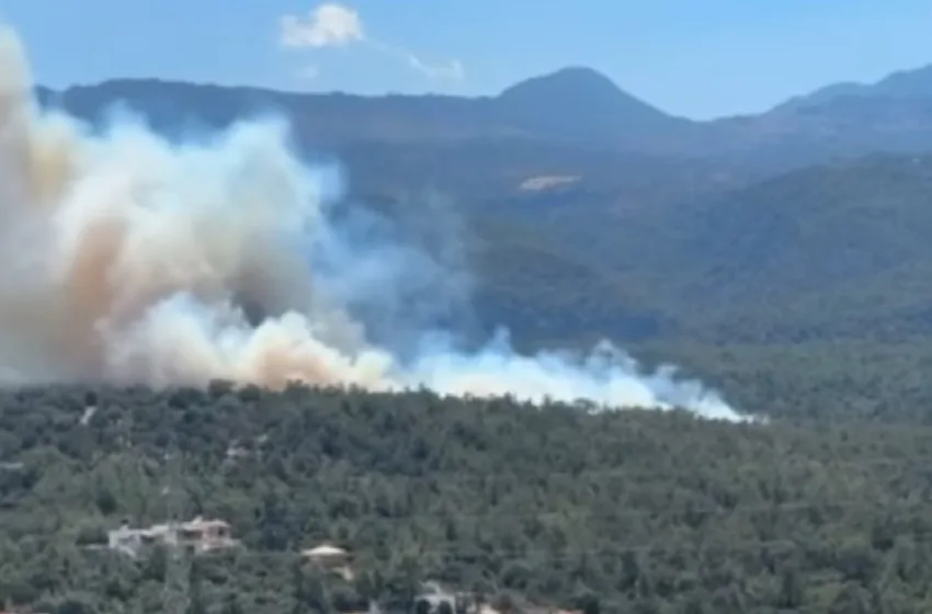  Οριοθετήθηκε η φωτιά στο Λασίθι – Μήνυμα από το 112