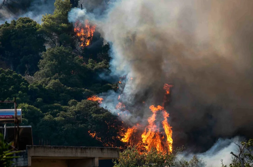  Φωτιές: Μεγάλη μάχη σε Αχαΐα, Πρέβεζα, Χίο, Ζάκυνθο- 109 πυρκαγιές (vid)