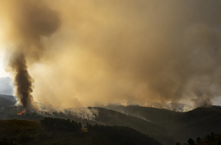  Φλέγεται ο ευρωπαϊκός νότος εν μέσω ακραίων θερμοκρασιών- “Έχουμε όλα τα συστατικά για το κοκτέιλ Μολότοφ… “