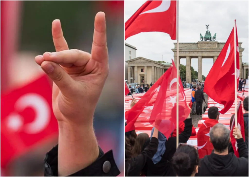 grizoi lykoi germania