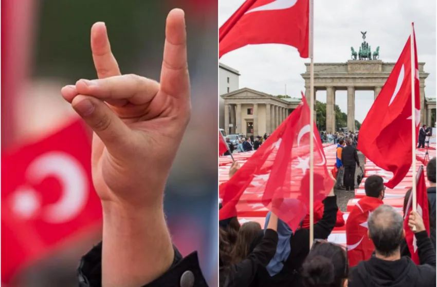 grizoi lykoi germania