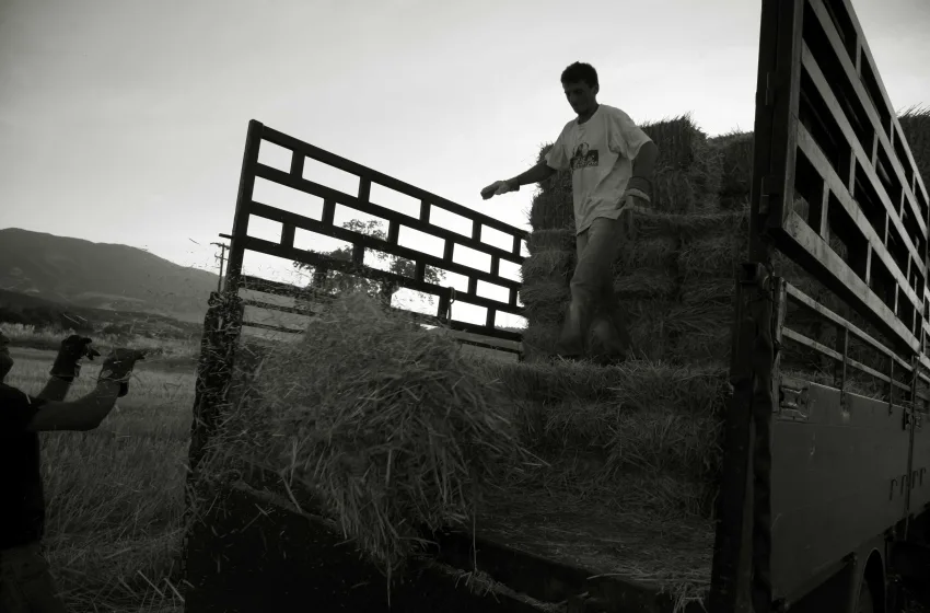  Μετανάστες: Χρειάζεται η Ελλάδα περισσότερους; Τι δείχνουν διεθνείς μελέτες 