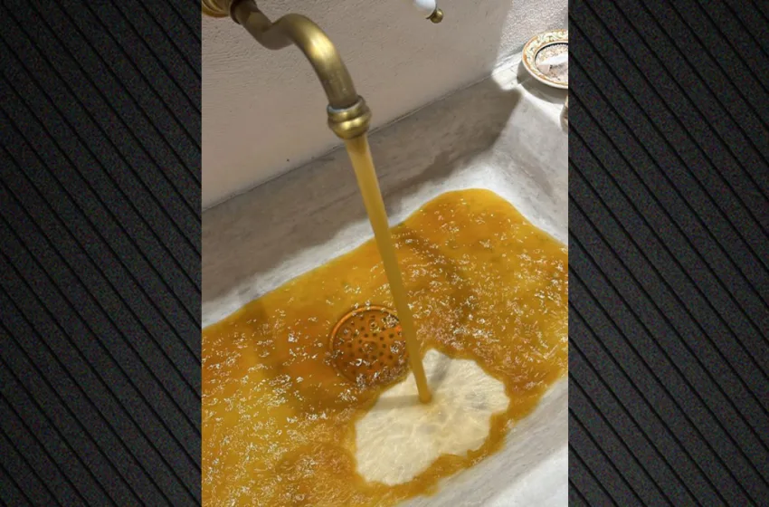 patmos vothrolymata viologikos