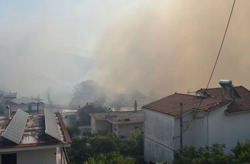  Πρέβεζα:  Έχασαν τους κόπους μιας ζωής από την φωτιά – Σε απόγνωση οι κάτοικοι