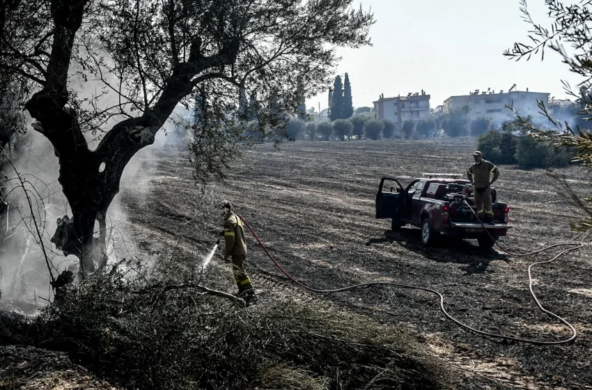  Ποιες περιοχές δεν έχουν ρεύμα λόγω των πυρκαγιών