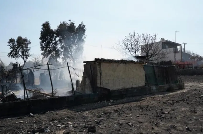 ΚΕΡΑΤΕΑ ΣΠΙΤΙ