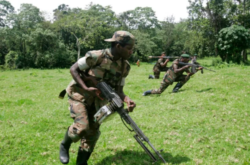  Διεθνής Αμνηστία: Κατηγορεί τους αντάρτες στο Κονγκό για ομαδικούς βιασμούς και εκτελέσεις