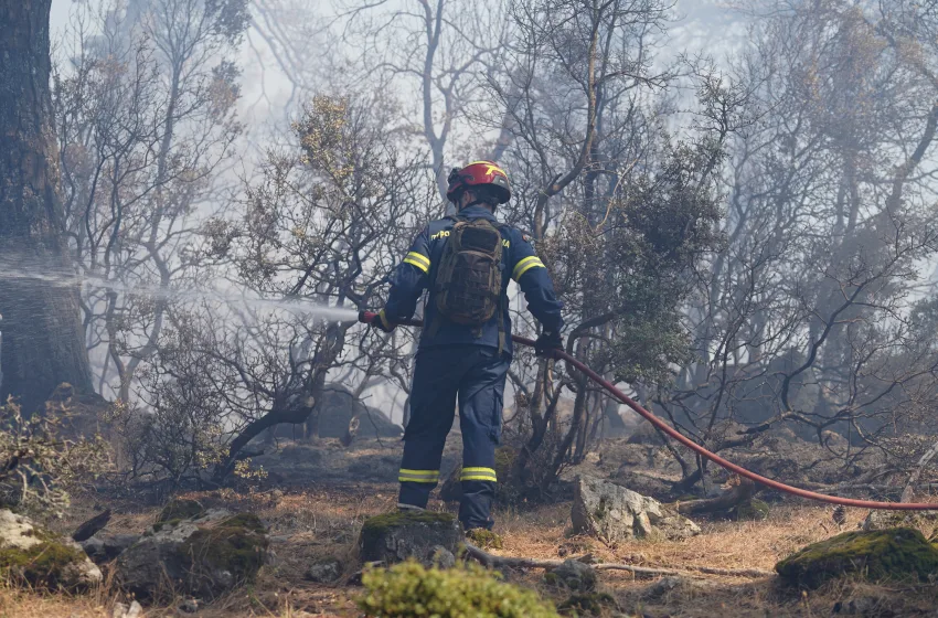 ΦΩΤΙΑ ΛΕΣΒΟΣ