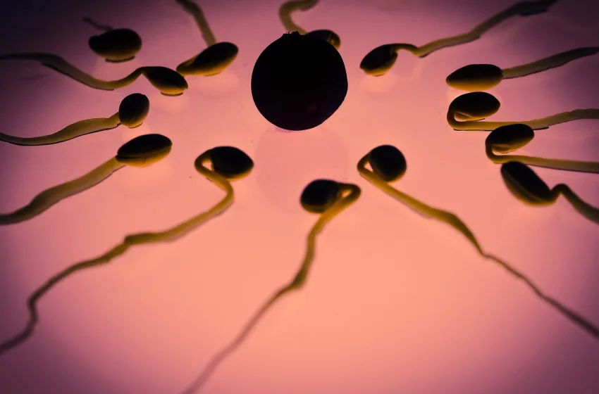  Περισσότερες ελπίδες για άτεκνα ζευγάρια ανοίγει η βιντεοσκόπηση της διαδικασίας εμφύτευσης εμβρύων