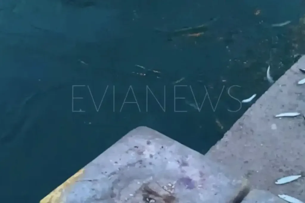 ευβοια νιους