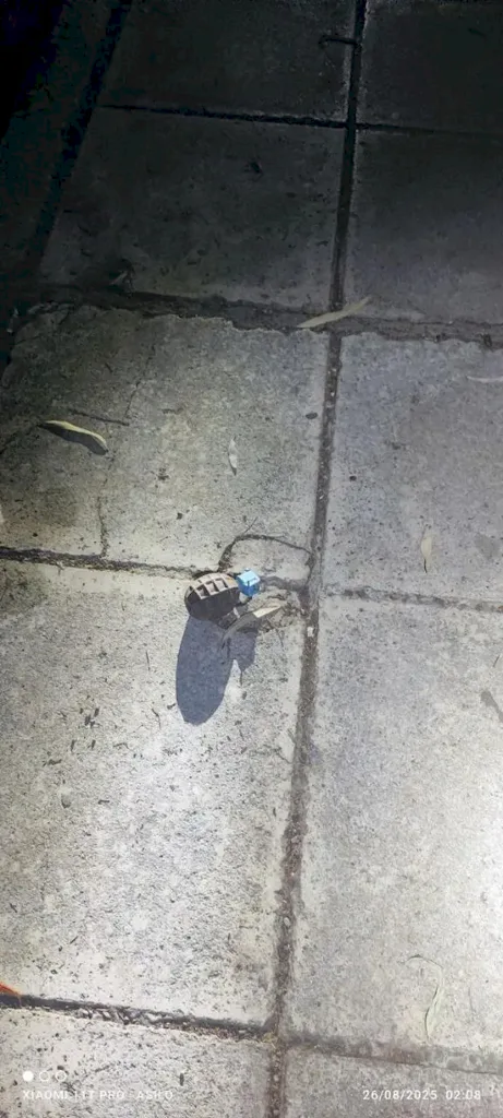 καδοι οπλα 4