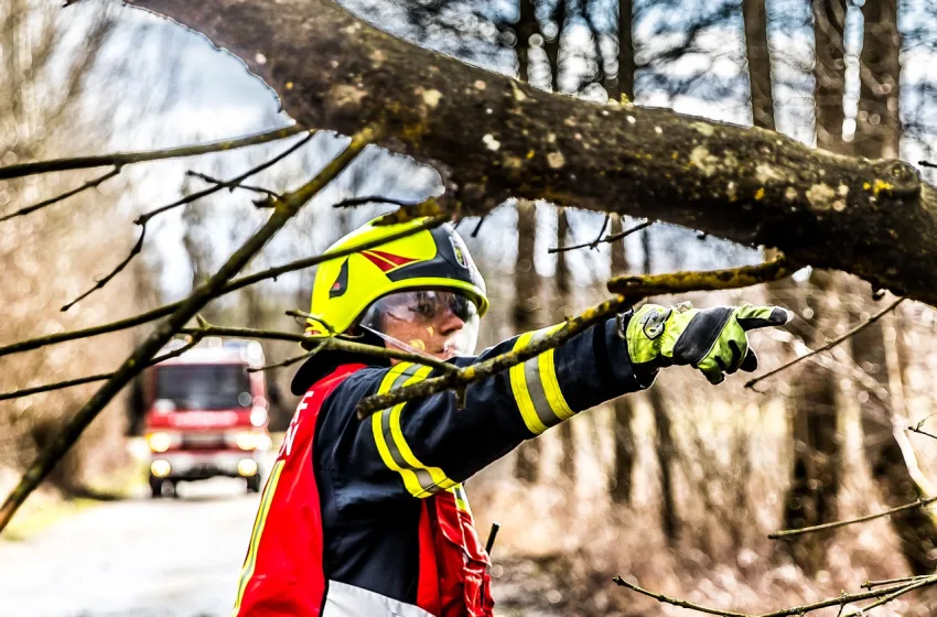  Φωτιά κοντά στη Γλυκή Θεσπρωτίας
