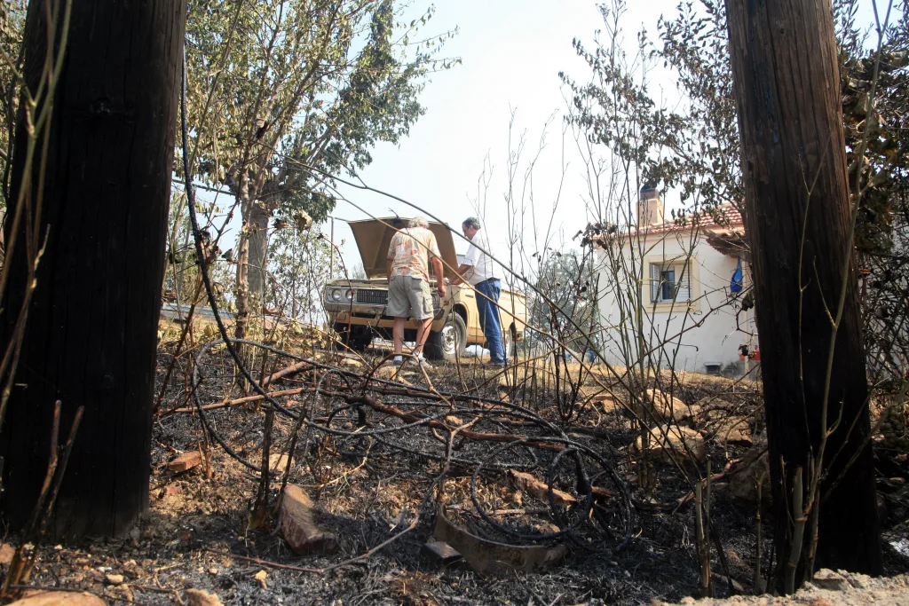 ρουτσι αρκαδιας