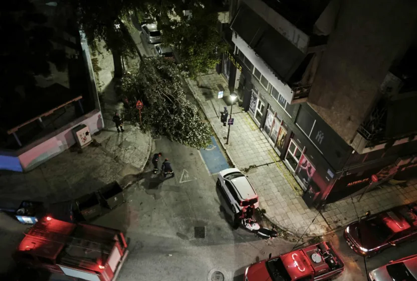  “Ο καιρός του βοριά” λέει ο Μαρουσάκης- Έπεσαν δέντρα στον Βόλο προκαλώντας προβλήματα