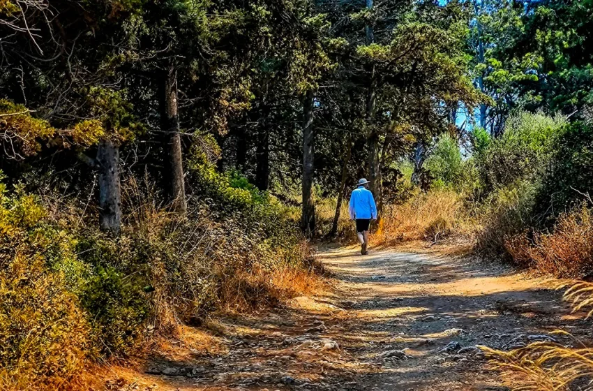  Με δύο πρόσωπα ο καιρός το Σαββατοκύριακο- Διατηρούνται τα 35αρια με μελτέμια και βροχές