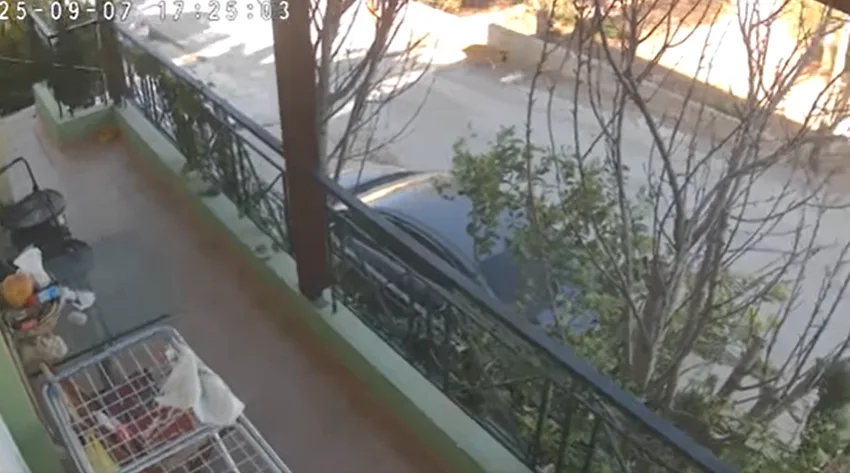  Βίντεο σοκ με σκυλιά να κατασπαράζουν γάτες στον Δήμο Σπάτων Αρτέμιδας- “Θέλω τη βοήθειά σας.. “