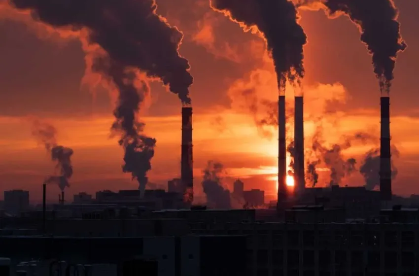 eu carbon rights large