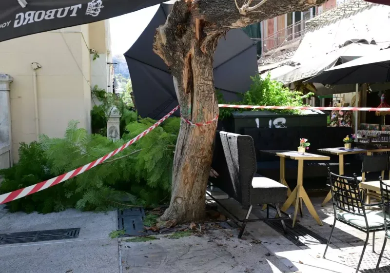 eurokinissi ptosi dentrou agia eirini 1.jpg