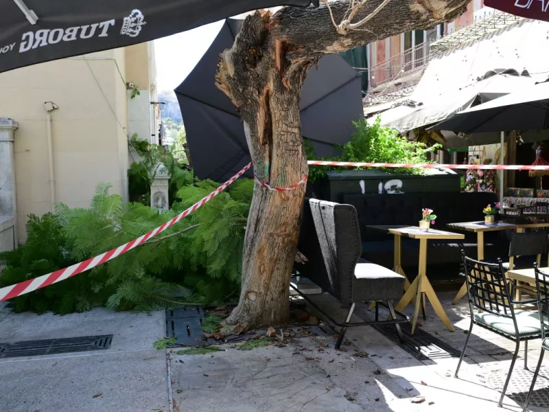 eurokinissi ptosi dentrou agia eirini 1.jpg