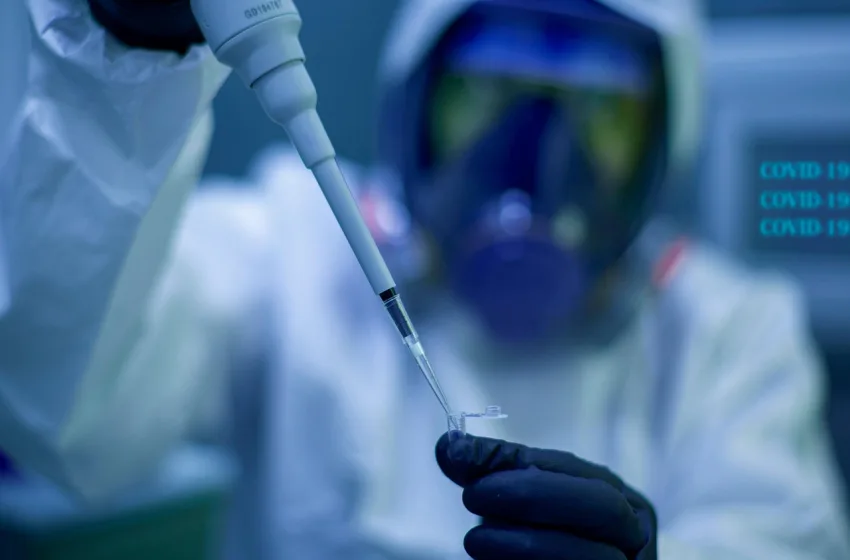  Ανατριχιαστικό επίτευγμα στο Στάνφορντ: Η Τεχνητή Νοημοσύνη κατασκευάζει ιούς για να σκοτώσει βακτήρια