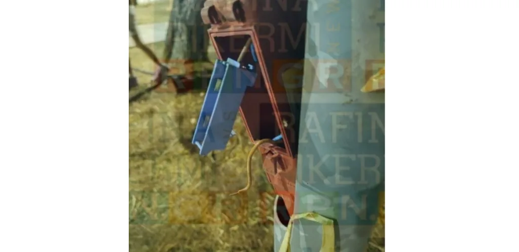 paidiki xara kalwdia hlektropliksia