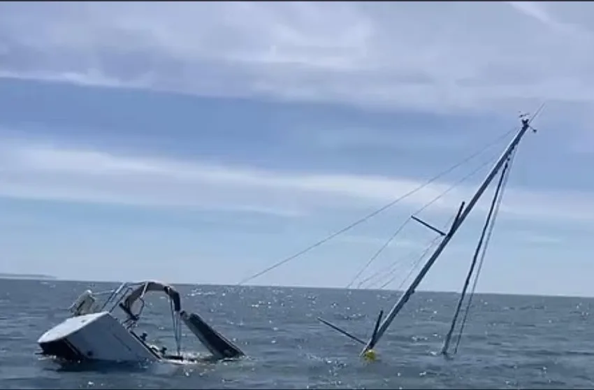  Πορτογαλία: Όρκες επιτέθηκαν σε τουριστικό σκάφος και το βύθισαν