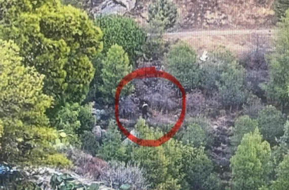  Συνελήφθη Παλαιστίνιος για εμπρησμό στον Υμηττό- Φωτογραφίες ντοκουμέντο