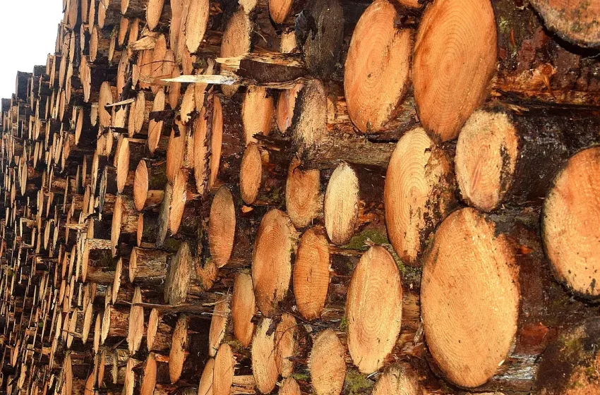  Ροδόπη: Επαναλειτουργεί η ιστορική βιομηχανική μονάδα ξυλείας του ομίλου Alfa Wood