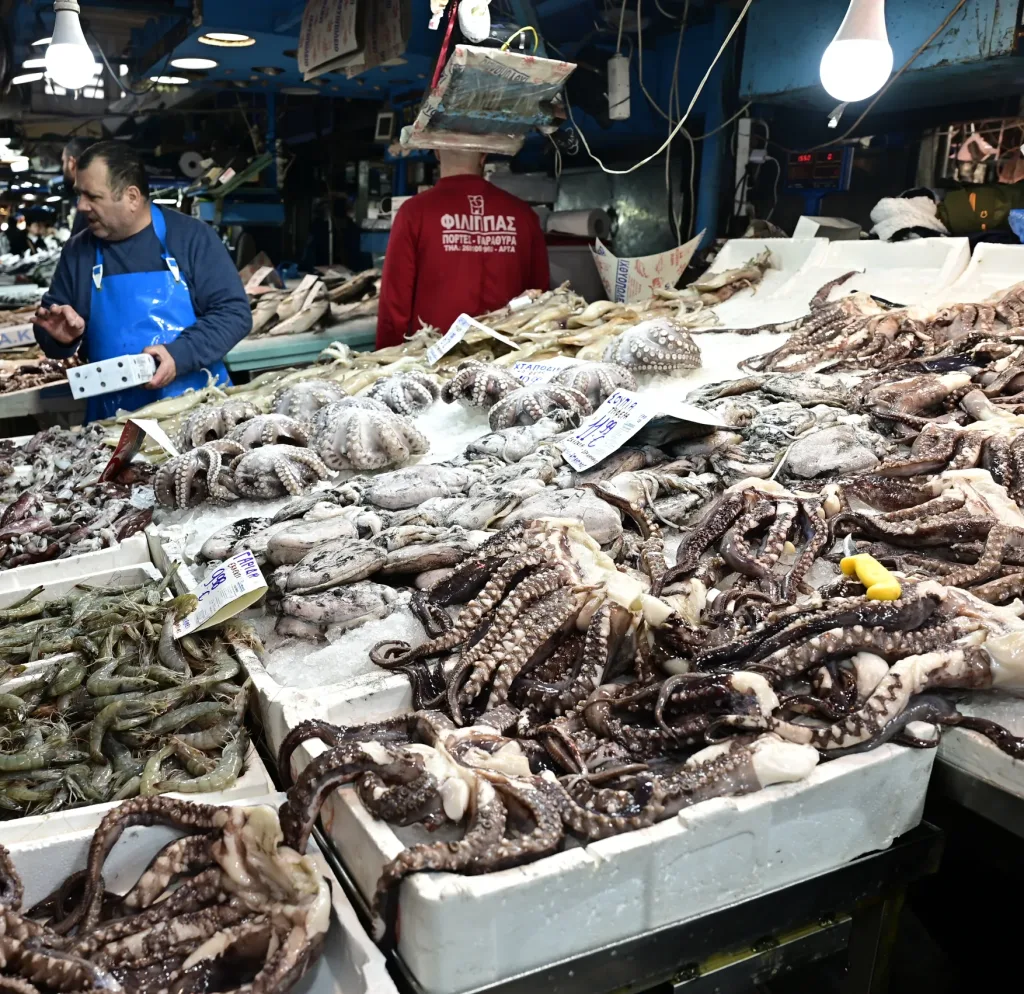 ψαρια scaled e1757334432388