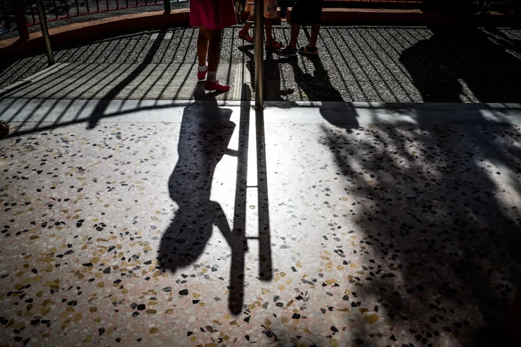 SHOLEIA SIGXONEFSEIS