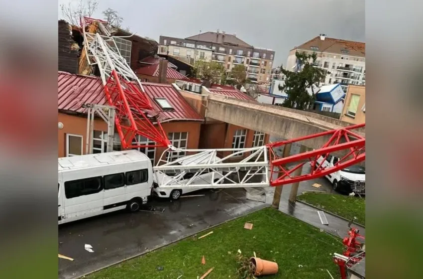 gallia anemostrovilos