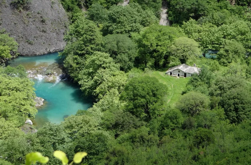 Image by Biedermann on Pixabay