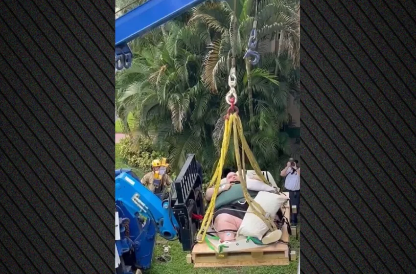 hpa geranos paxysarkos andras