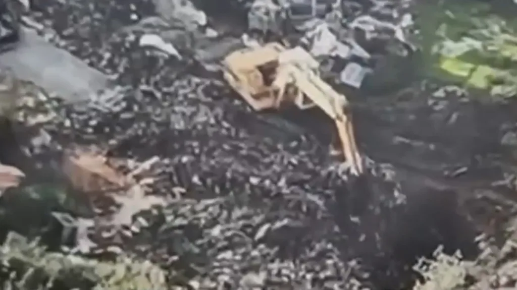 louros potamos thavoun rypansi video