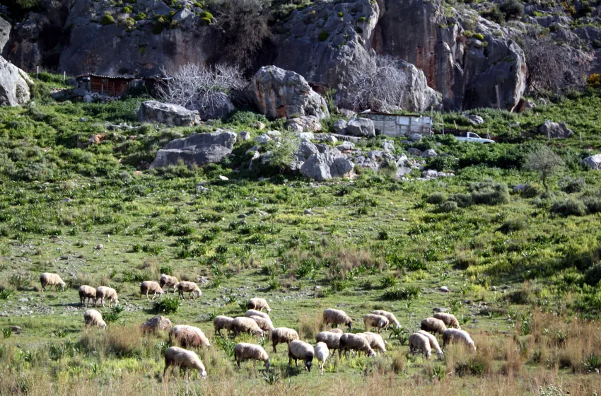  ΟΠΕΚΕΠΕ: Πώς είχαν στήσει την απάτη οι συλληφθέντες-Ανακοίνωση Ευρωπαϊκής Εισαγγελίας-Νέα δικογραφία για “Φραπέ”