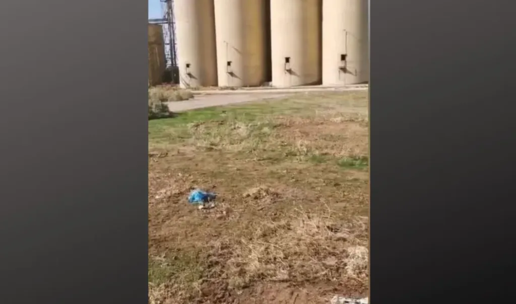 rodopi iasmos nekra zwa