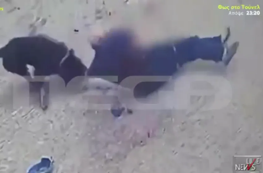  Η σοκαριστική στιγμή της επίθεσης του ροτβάιλερ στον 76χρονο- Αστυνομικός πυροβόλησε τον σκύλο