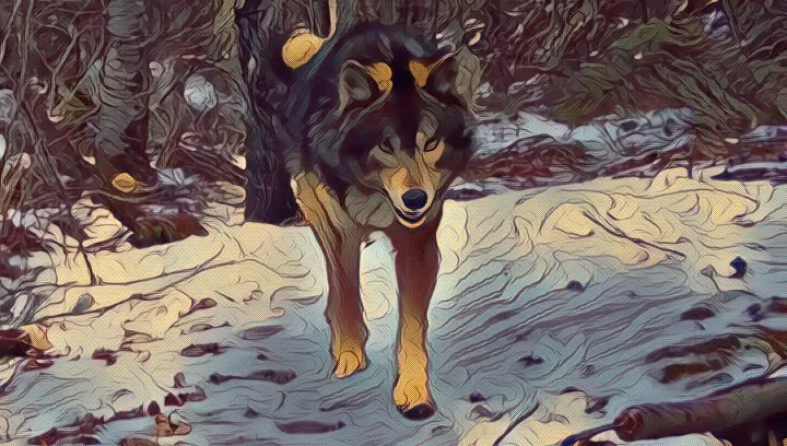  Σπύρος Ψαρούδας / Η συνύπαρξη με τα μεγάλα σαρκοφάγα είναι εφικτή