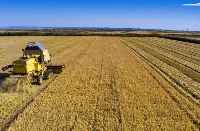  Τι αλλάζει το 2026 στις πληρωμές και τους ελέγχους των αγροτικών επιδοτήσεων
