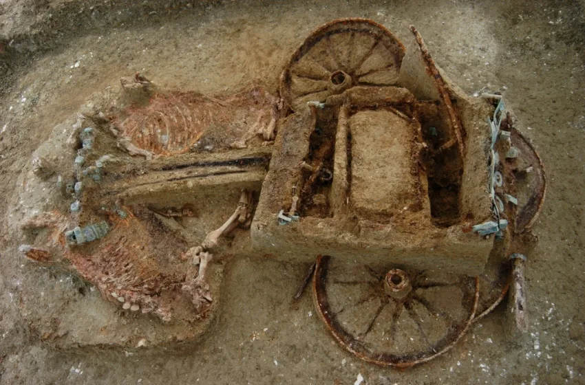  Έβρος: Άμαξες κι άλογα έθαβαν οι πλούσιοι Θρακιώτες, όταν πέθαιναν