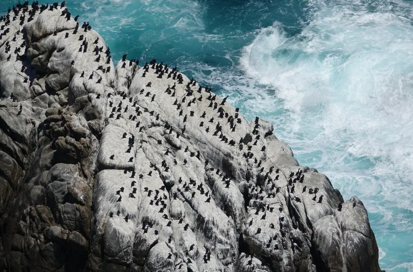  Γιατί μειώνεται η παραγωγικότητα της οικονομίας των ωκεανών;