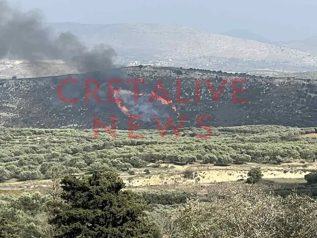 895da23c e973 4a64 a339 c73591a92a7b fotor 2025112113505